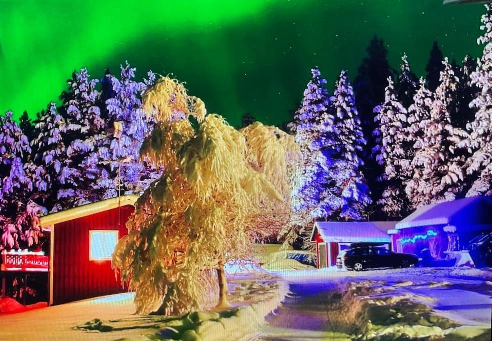 Lakeside Wilderness Cabin Jokkmokk Εξωτερικό φωτογραφία