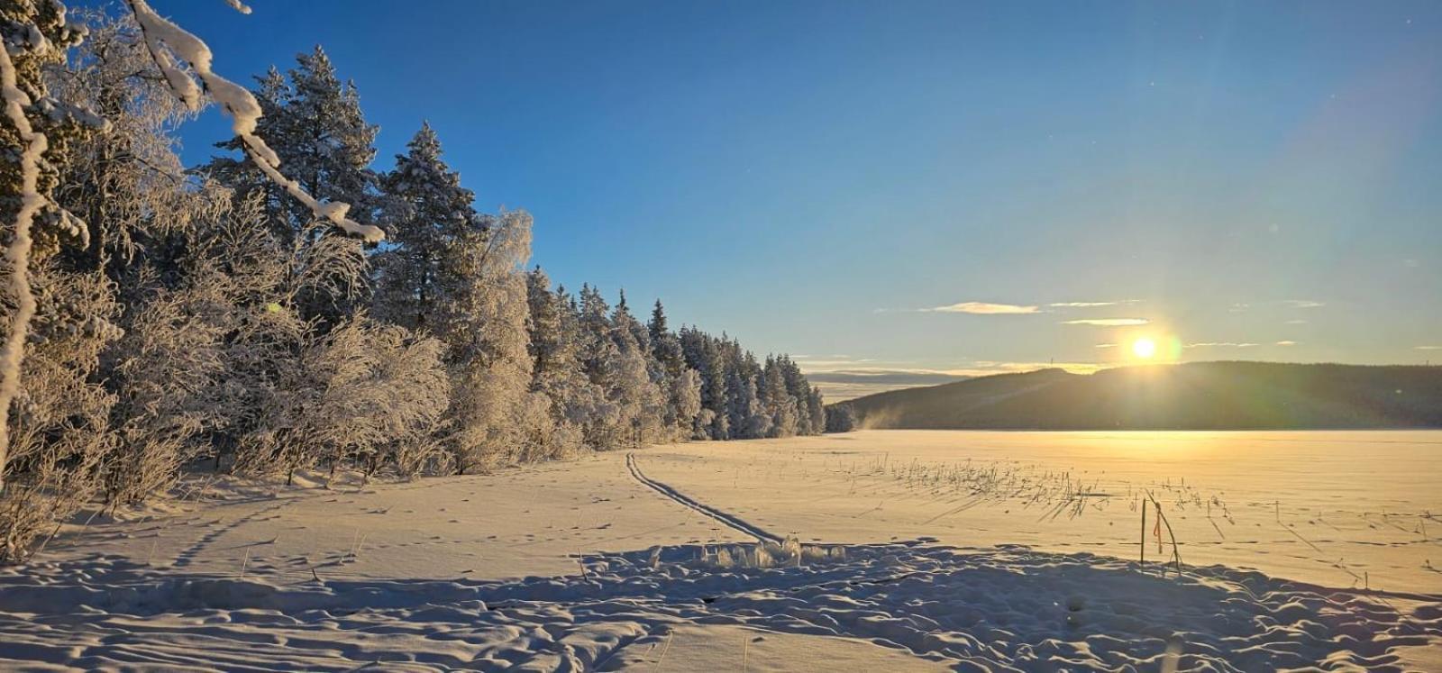 Lakeside Wilderness Cabin Jokkmokk Εξωτερικό φωτογραφία
