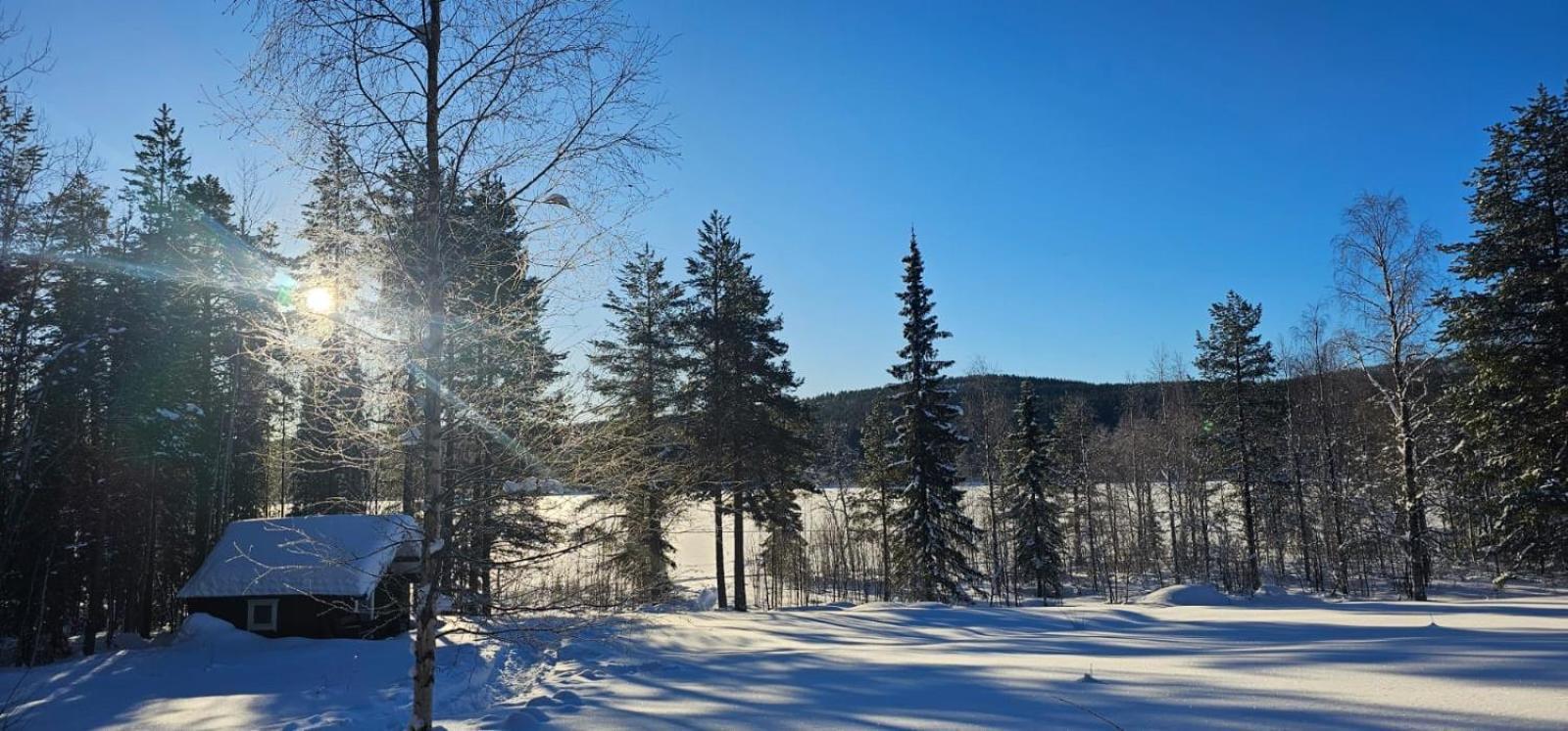 Lakeside Wilderness Cabin Jokkmokk Εξωτερικό φωτογραφία