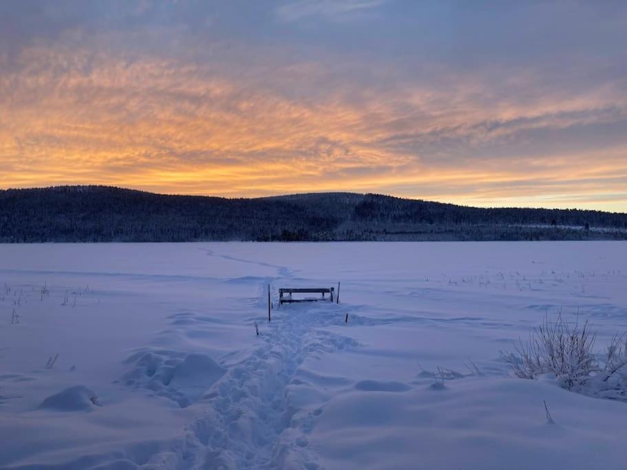 Lakeside Wilderness Cabin Jokkmokk Εξωτερικό φωτογραφία