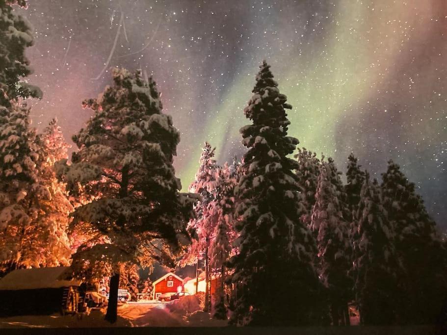 Lakeside Wilderness Cabin Jokkmokk Εξωτερικό φωτογραφία