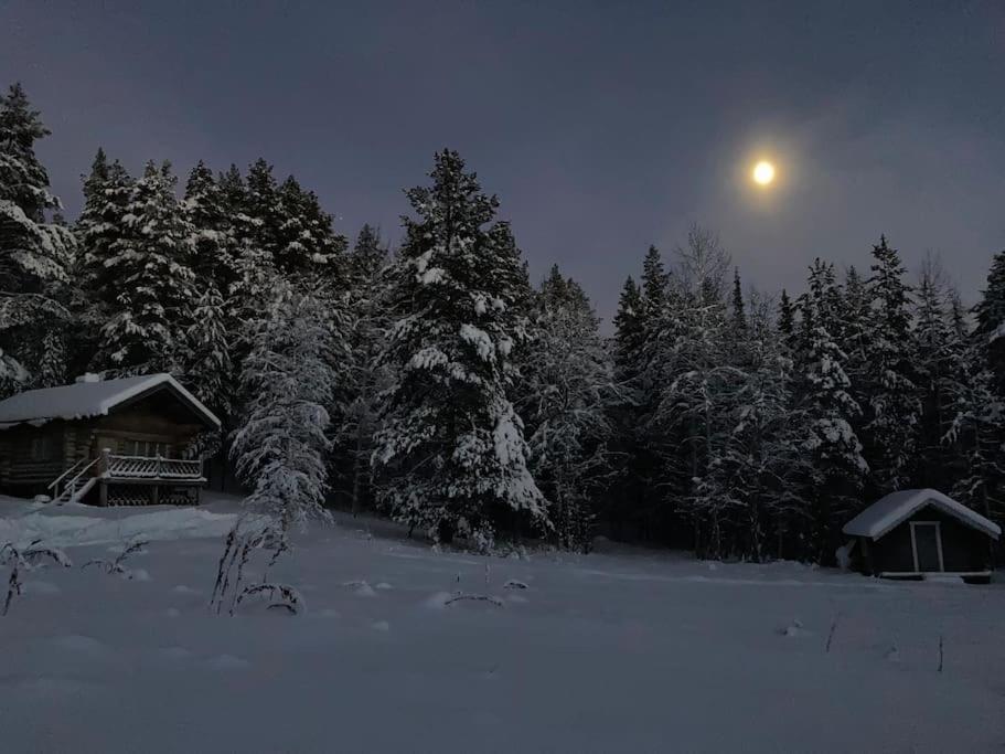 Lakeside Wilderness Cabin Jokkmokk Εξωτερικό φωτογραφία