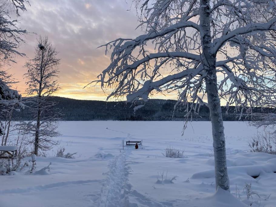 Lakeside Wilderness Cabin Jokkmokk Εξωτερικό φωτογραφία