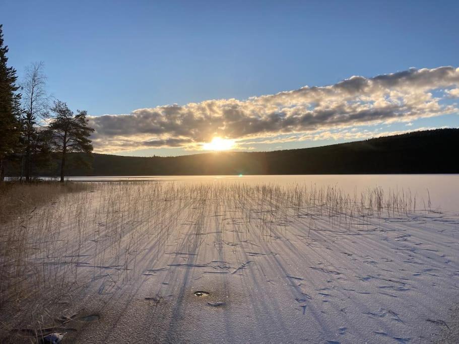 Lakeside Wilderness Cabin Jokkmokk Εξωτερικό φωτογραφία