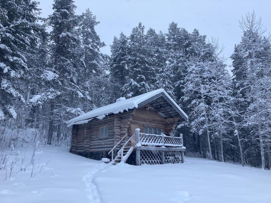 Lakeside Wilderness Cabin Jokkmokk Εξωτερικό φωτογραφία