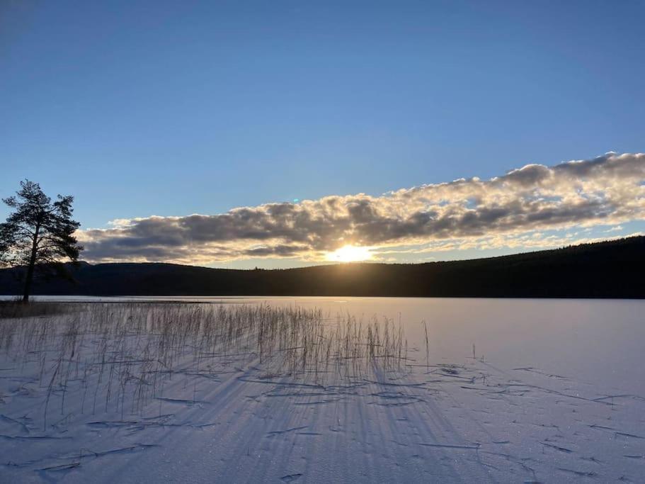 Lakeside Wilderness Cabin Jokkmokk Εξωτερικό φωτογραφία