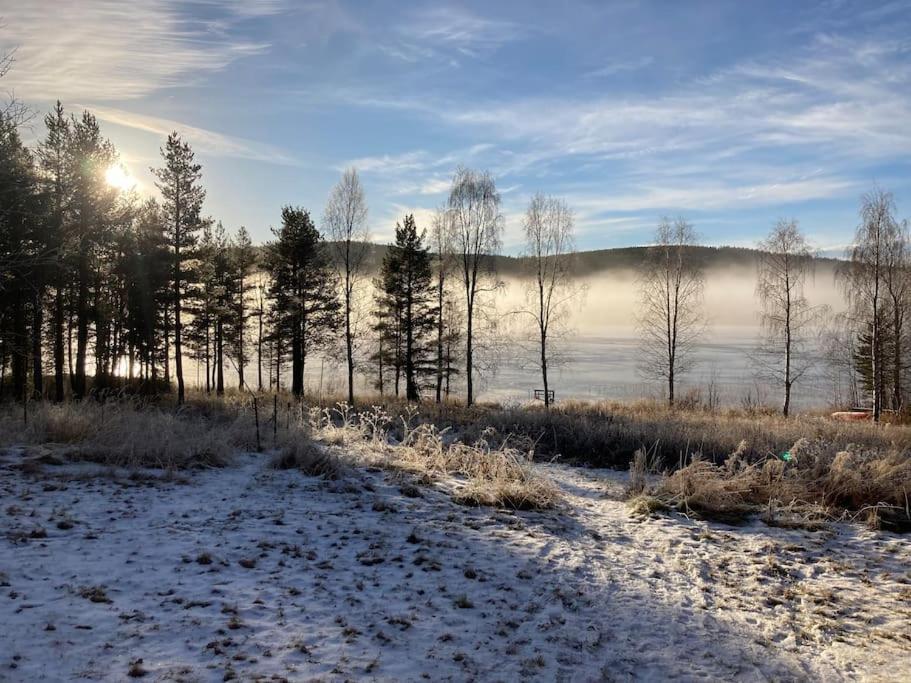Lakeside Wilderness Cabin Jokkmokk Εξωτερικό φωτογραφία