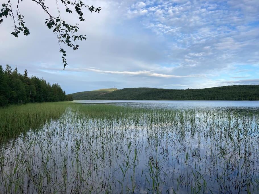 Lakeside Wilderness Cabin Jokkmokk Εξωτερικό φωτογραφία