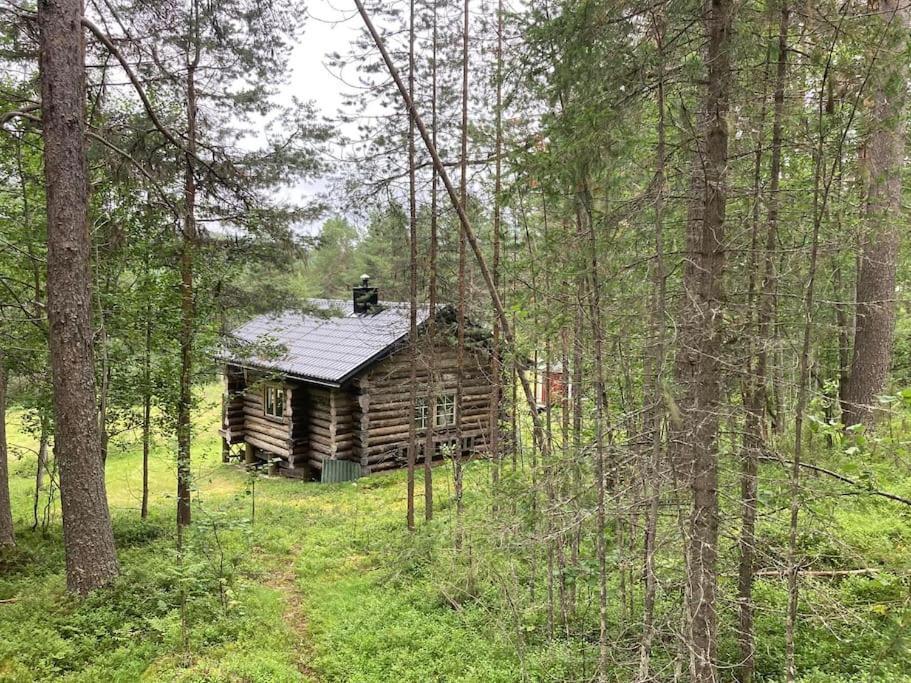 Lakeside Wilderness Cabin Jokkmokk Εξωτερικό φωτογραφία